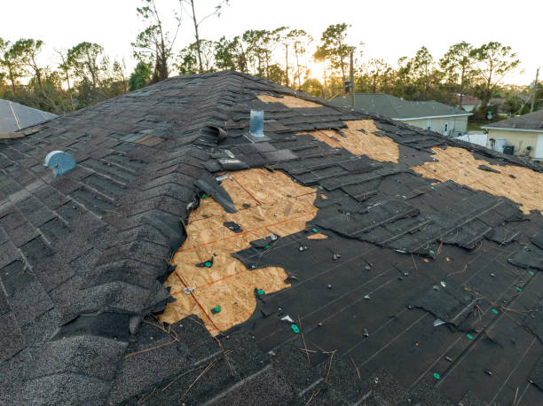 Best Roof Ventilation Installation  in Statham, GA